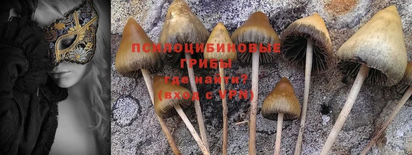 Альфа ПВП Верхний Тагил